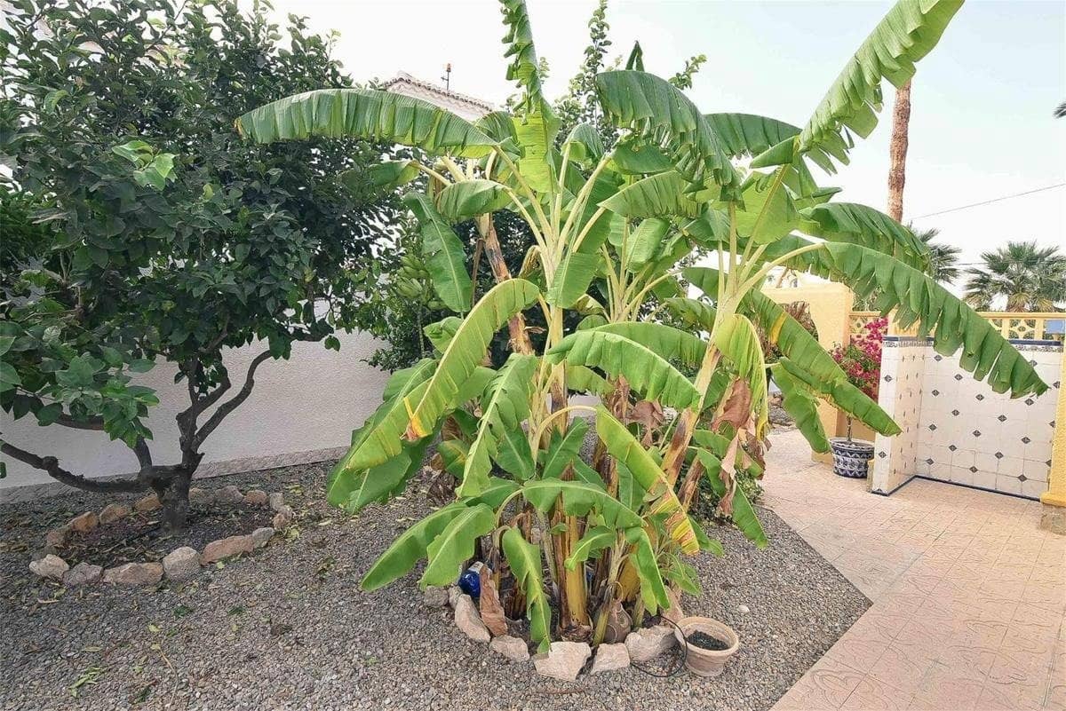 Chalet de 5 habitaciones en Torrevieja en venta con piscina - 440.000 € (Ref: 8834615)