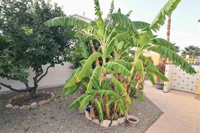 Chalet de 5 habitaciones en El Chaparral - La Siesta - La Torreta, Torrevieja en venta con piscina - 440.000 € (Ref: 8834615)