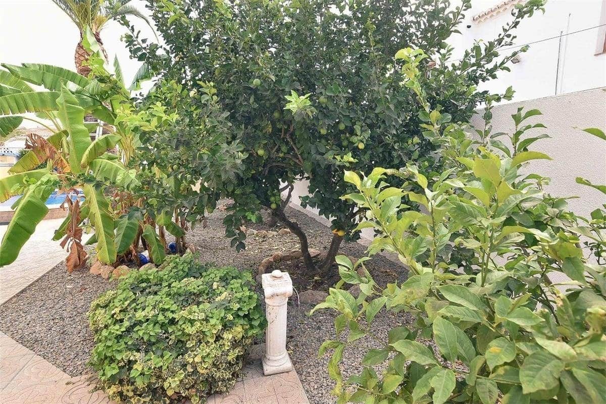 Chalet de 5 habitaciones en Torrevieja en venta con piscina - 440.000 € (Ref: 8834615)