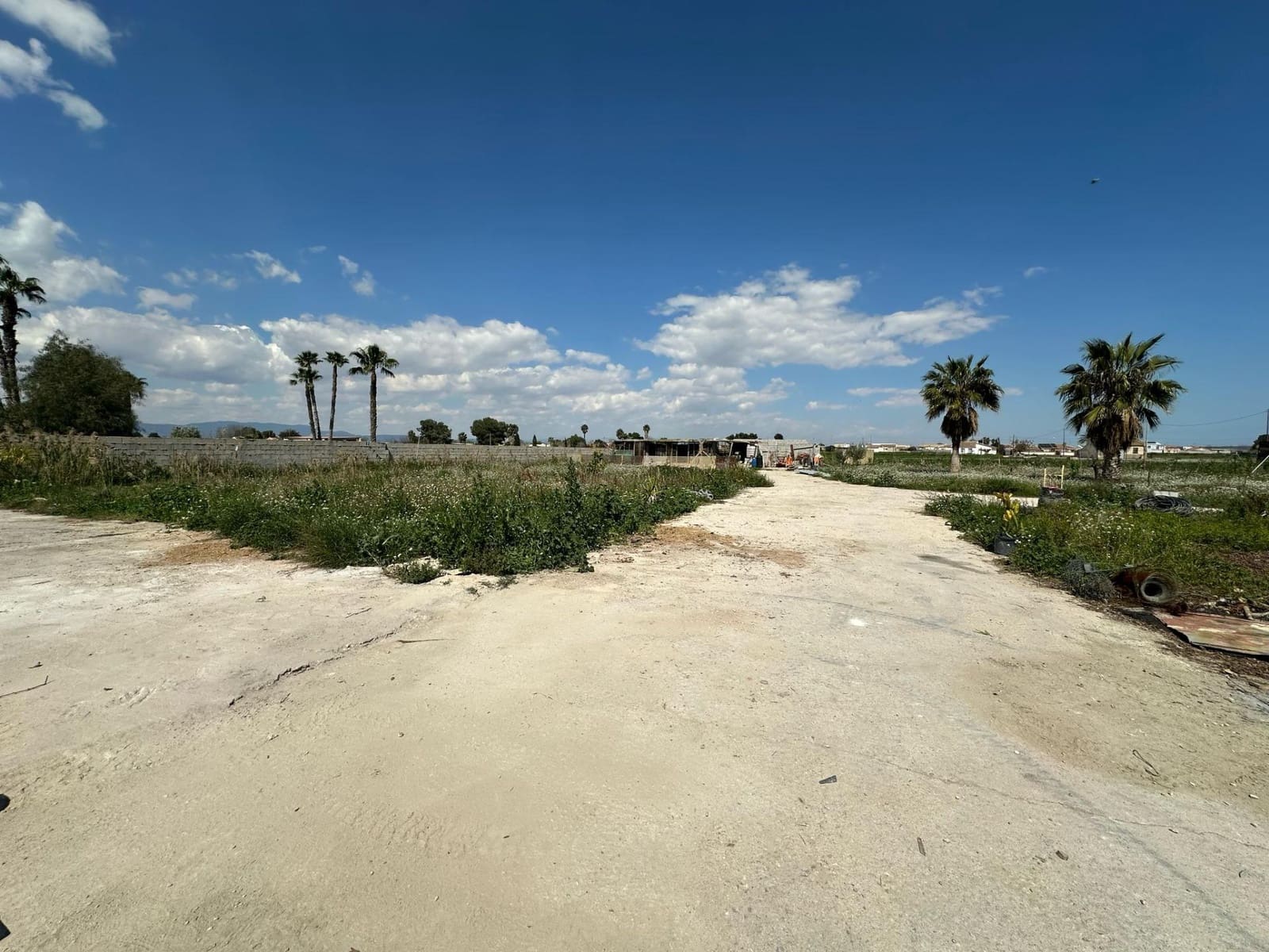 4 quarto Quinta/Casa Rural para venda em Daya Nueva - 636 000 € (Ref: 9631785)