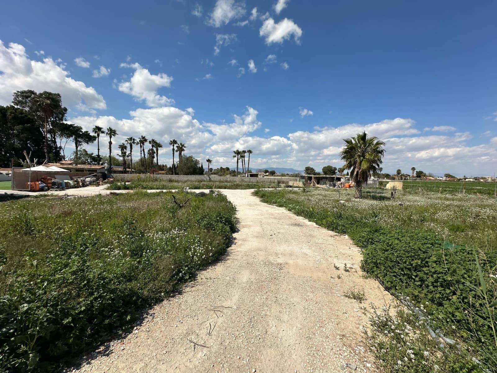 4 quarto Quinta/Casa Rural para venda em Daya Nueva - 636 000 € (Ref: 9631785)