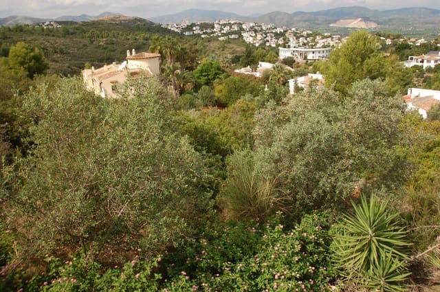 Terreno para Construção para venda em Monte Pego, Pego - 384 000 € (Ref: 4119164)