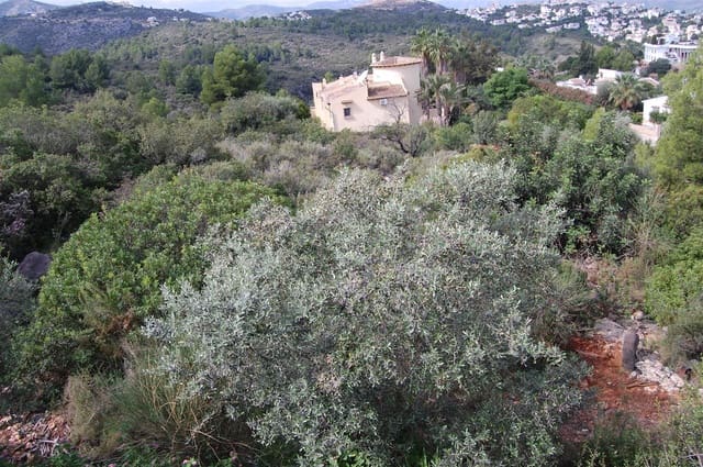 Terreno para Construção para venda em Monte Pego, Pego - 384 000 € (Ref: 4119164)