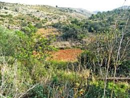 Byggegrund til salg i Denia - € 157.000 (Ref: 592655)