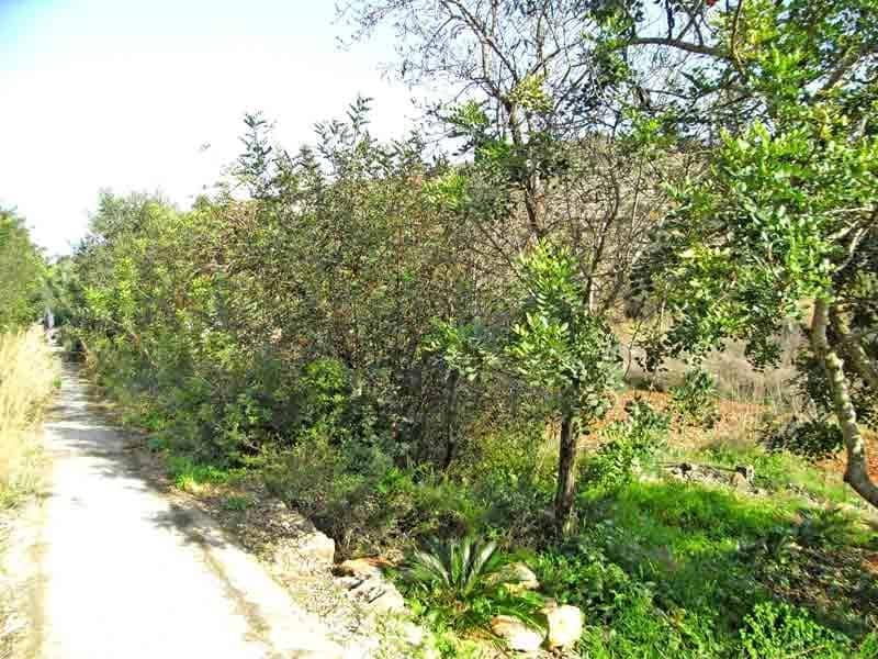 Byggegrund til salg i Denia - € 157.000 (Ref: 592655)