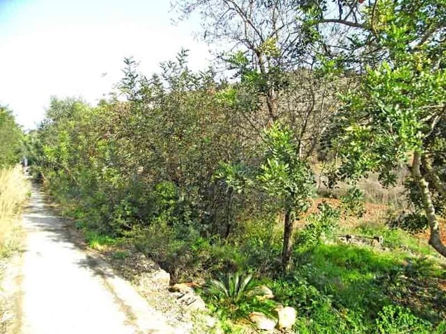 Byggegrund til salg i Dénia - € 157.000 (Ref: 592655)