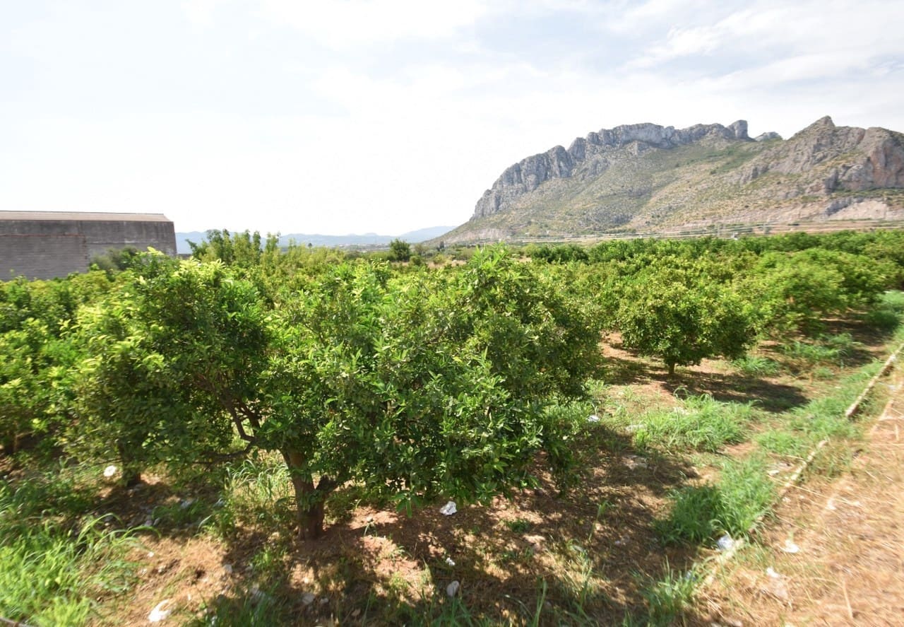 Undeveloped Land for sale in El Vergel / Verger - € 120,000 (Ref: 6328932)