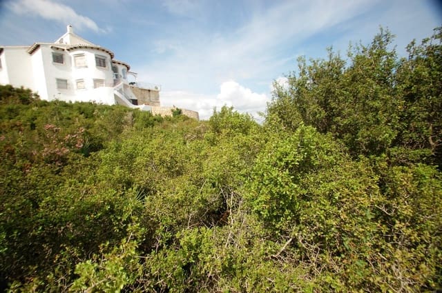 Terreno para Construção para venda em Monte Pego, Pego - 163 000 € (Ref: 7373844)