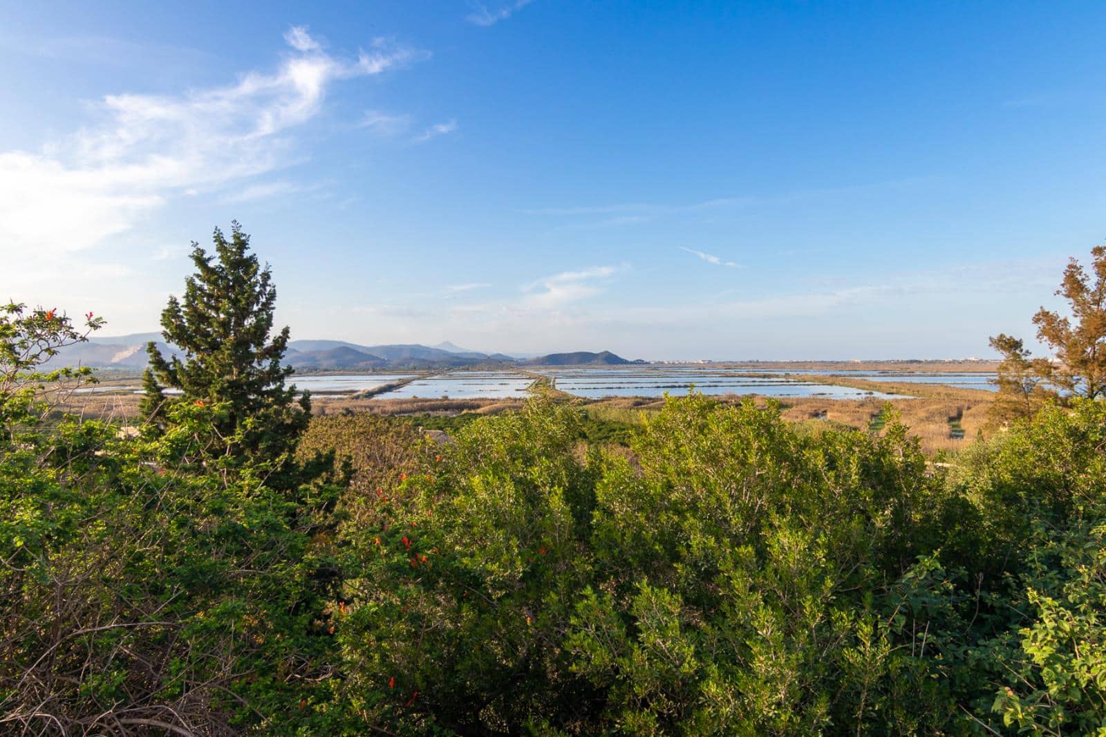 Mark till salu i Pego - 85 000 € (Ref: 9257102)