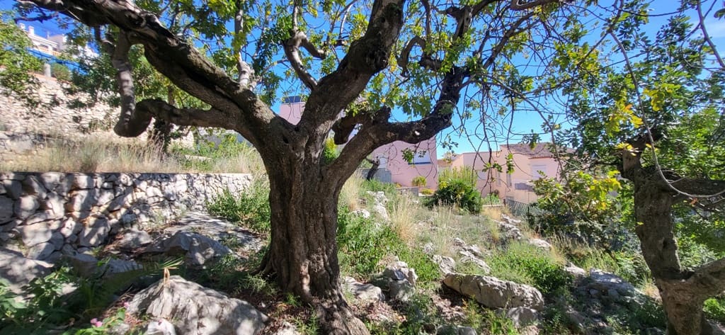 3 bedroom Villa for sale in Sanet i Negrals - € 350,000 (Ref: 9543146)