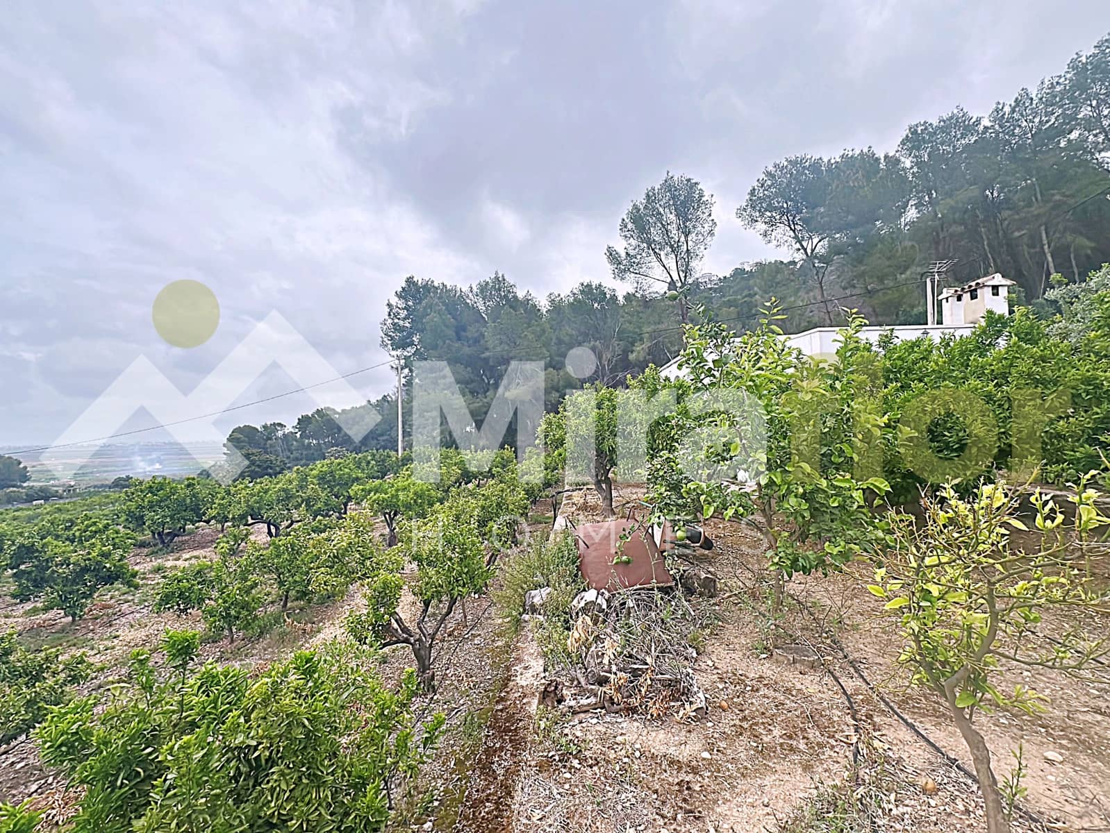 1 slaapkamer Finca/Landhuis te koop in Pego - € 170.000 (Ref: 9798262)