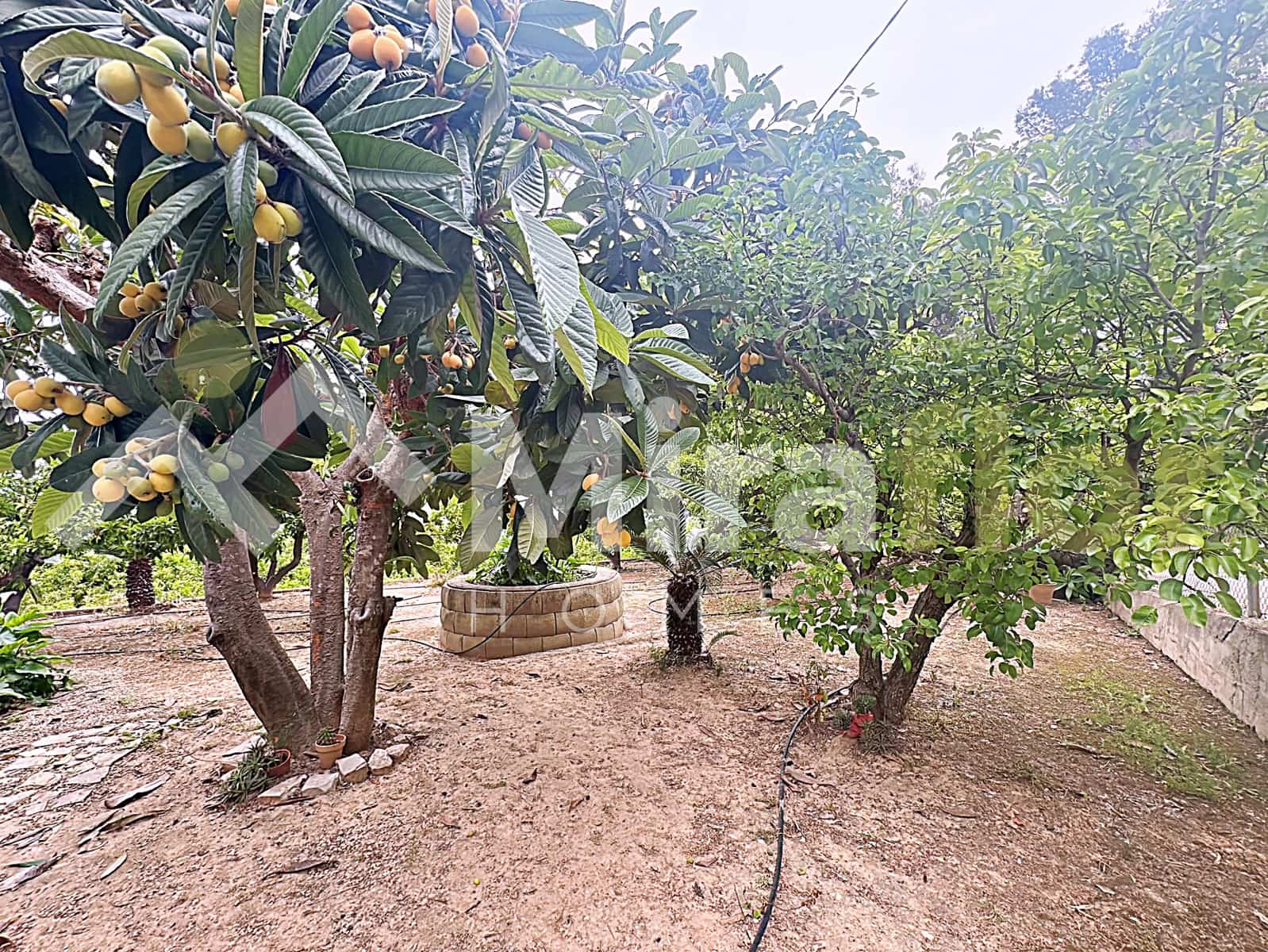 1 slaapkamer Finca/Landhuis te koop in Pego - € 170.000 (Ref: 9798262)