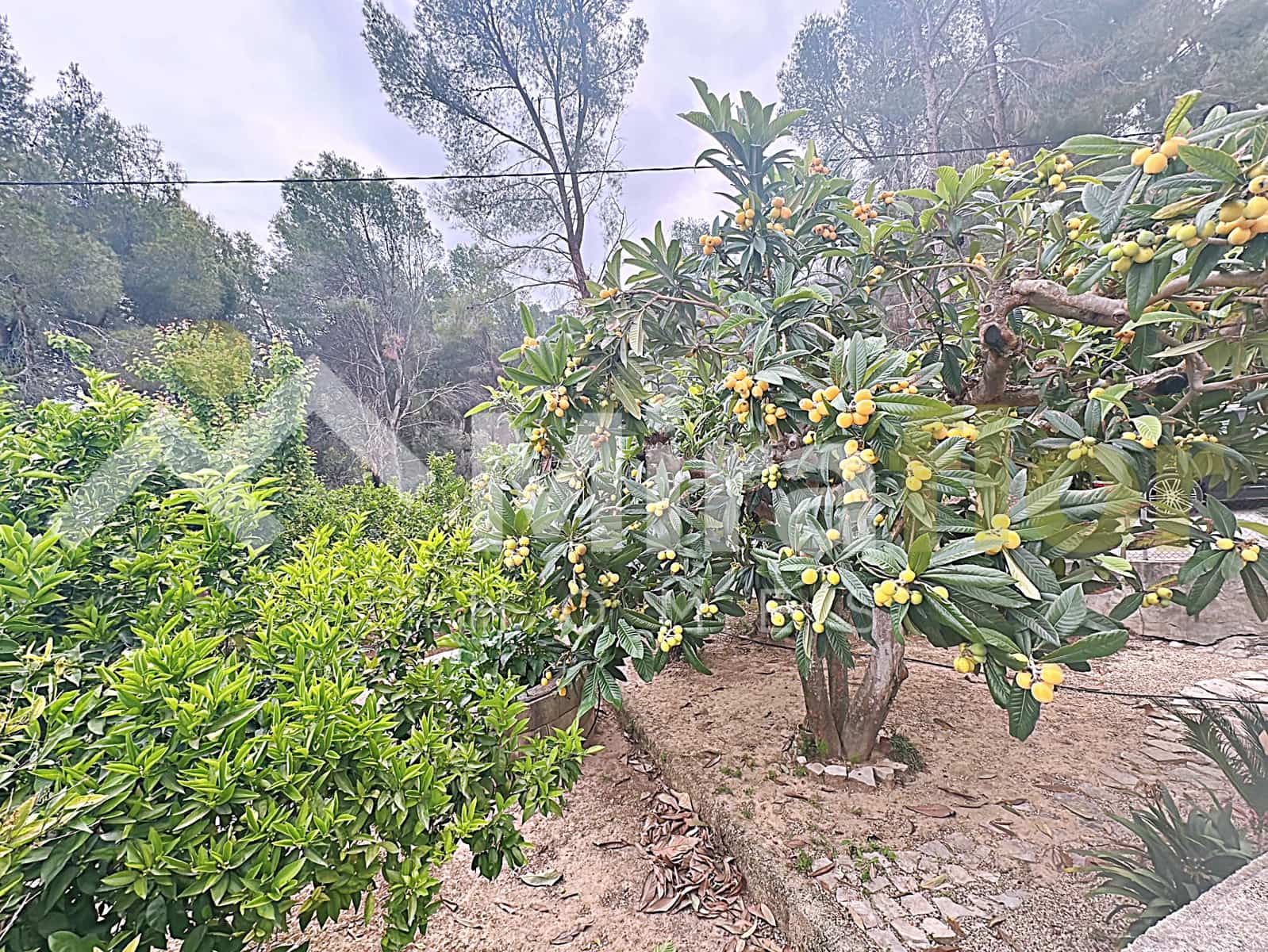 1 slaapkamer Finca/Landhuis te koop in Pego - € 170.000 (Ref: 9798262)