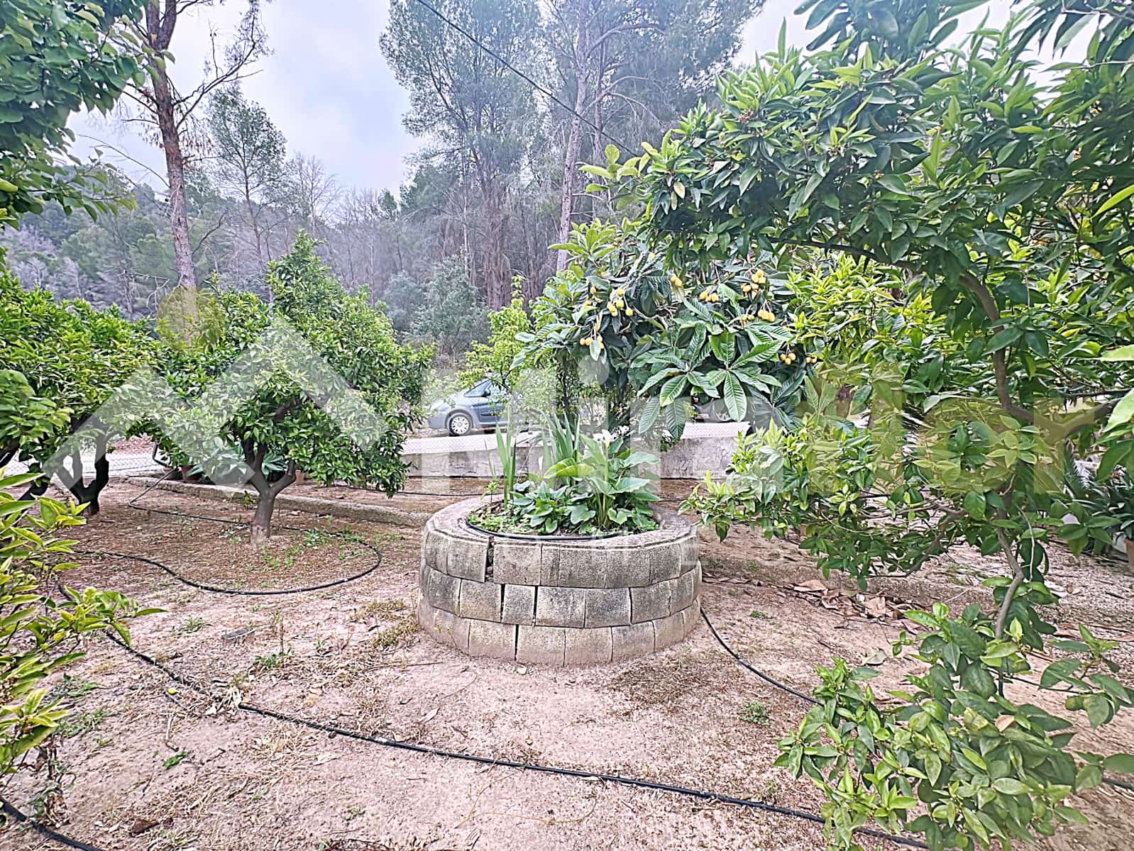 1 slaapkamer Finca/Landhuis te koop in Pego - € 170.000 (Ref: 9798262)