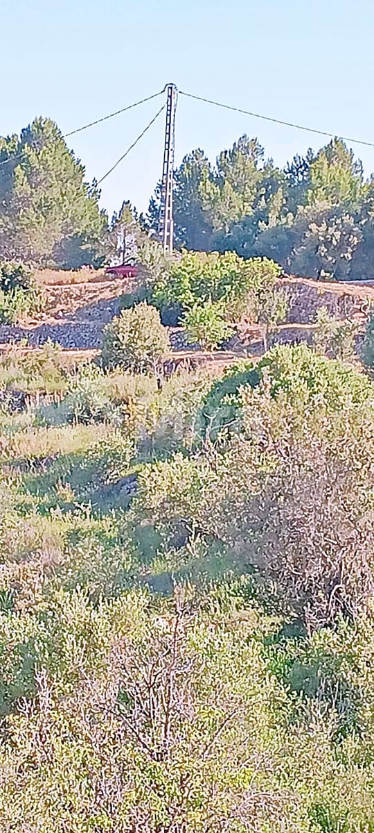 Solar/Parcela en Tormos en venta - 39.500 € (Ref: 9891148)