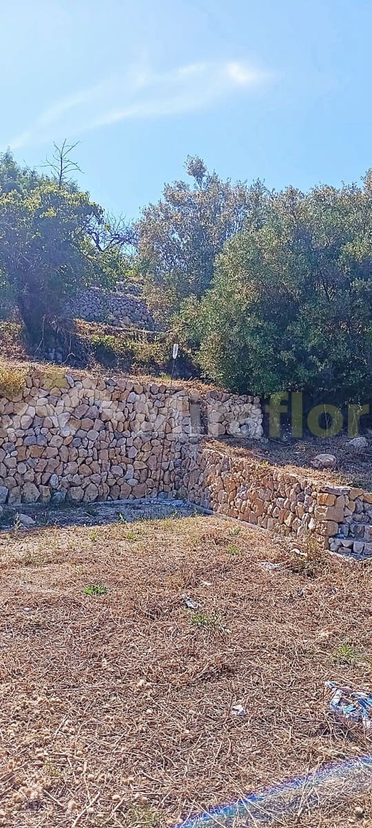 Solar/Parcela en Tormos en venta - 39.500 € (Ref: 9891148)
