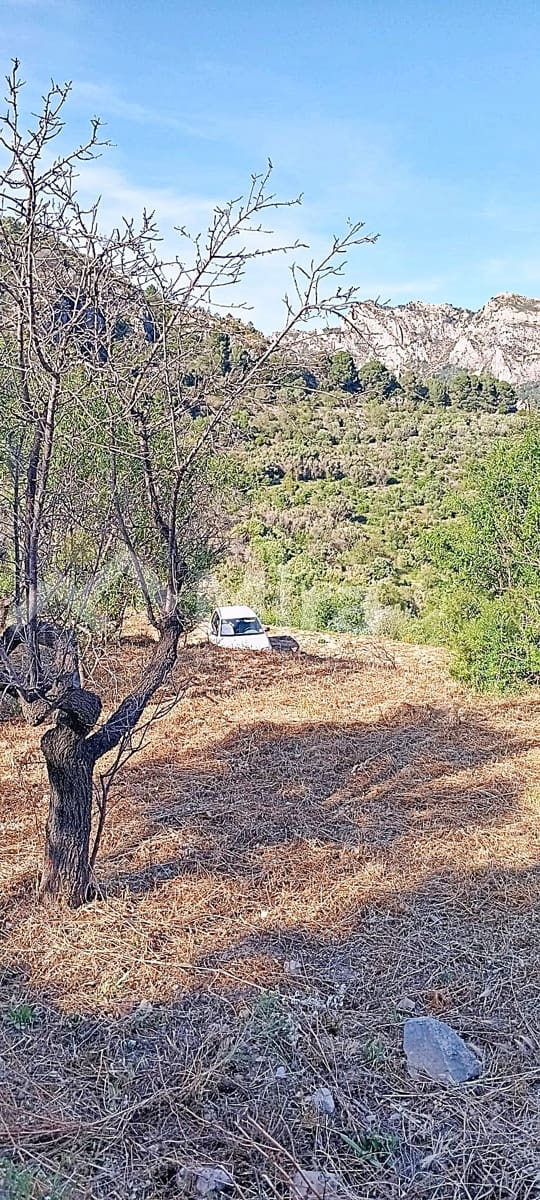 Solar/Parcela en Tormos en venta - 39.500 € (Ref: 9891148)
