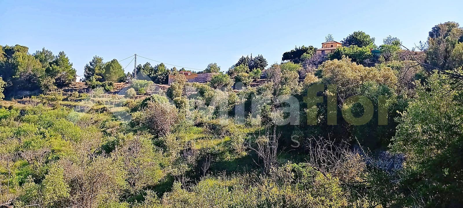 Solar/Parcela en Tormos en venta - 39.500 € (Ref: 9891148)