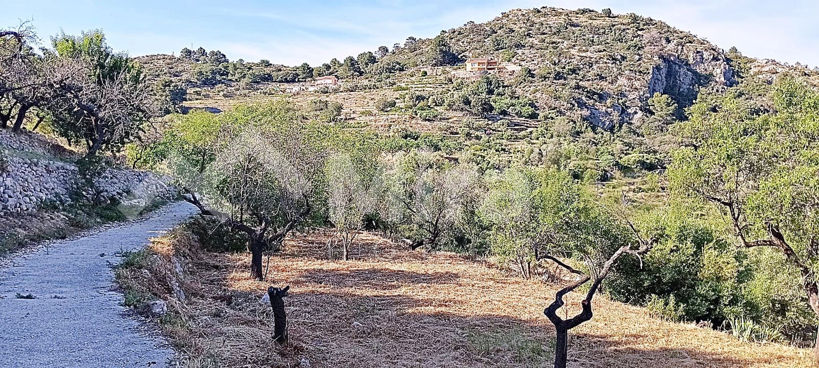Solar/Parcela en Tormos en venta - 39.500 € (Ref: 9891148)