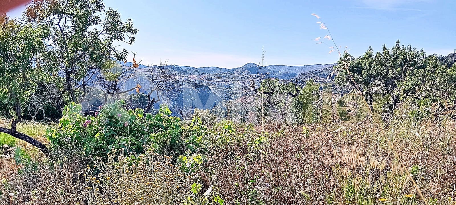 Solar/Parcela en Tormos en venta - 39.500 € (Ref: 9891148)