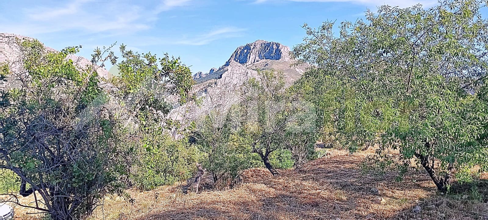 Solar/Parcela en Tormos en venta - 39.500 € (Ref: 9891148)
