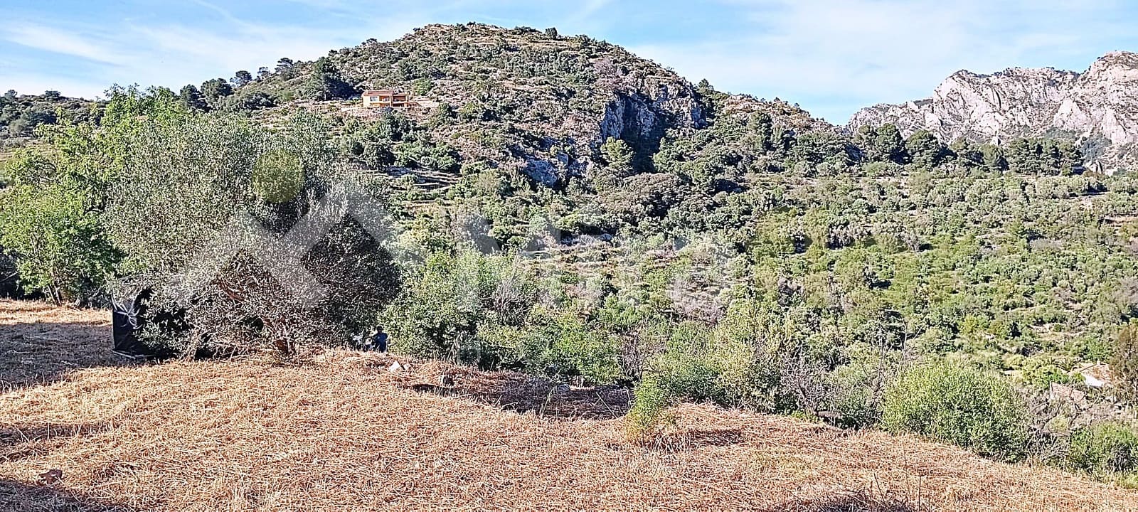 Solar/Parcela en Tormos en venta - 39.500 € (Ref: 9891148)