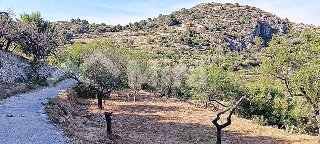 Solar/Parcela en Tormos en venta - 39.500 € (Ref: 9891148)