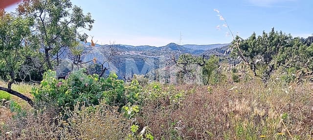 Solar/Parcela en Tormos en venta - 39.500 € (Ref: 9891148)