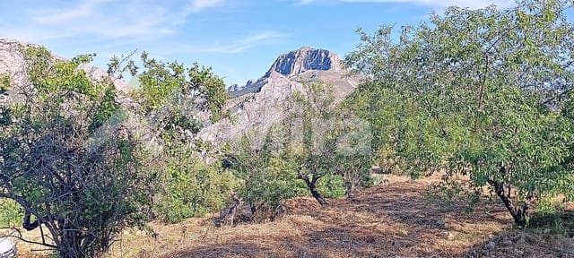 Solar/Parcela en Tormos en venta - 39.500 € (Ref: 9891148)