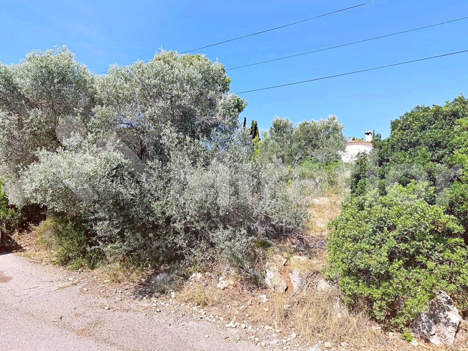 Tomt till salu i Denia - 120 000 € (Ref: 9989440)