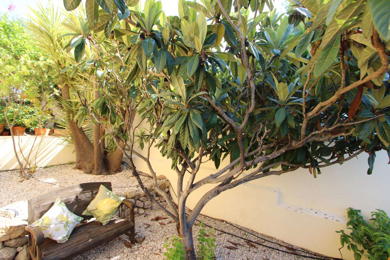 3 quarto Moradia para venda em Orba com piscina - 499 995 € (Ref: 10003709)