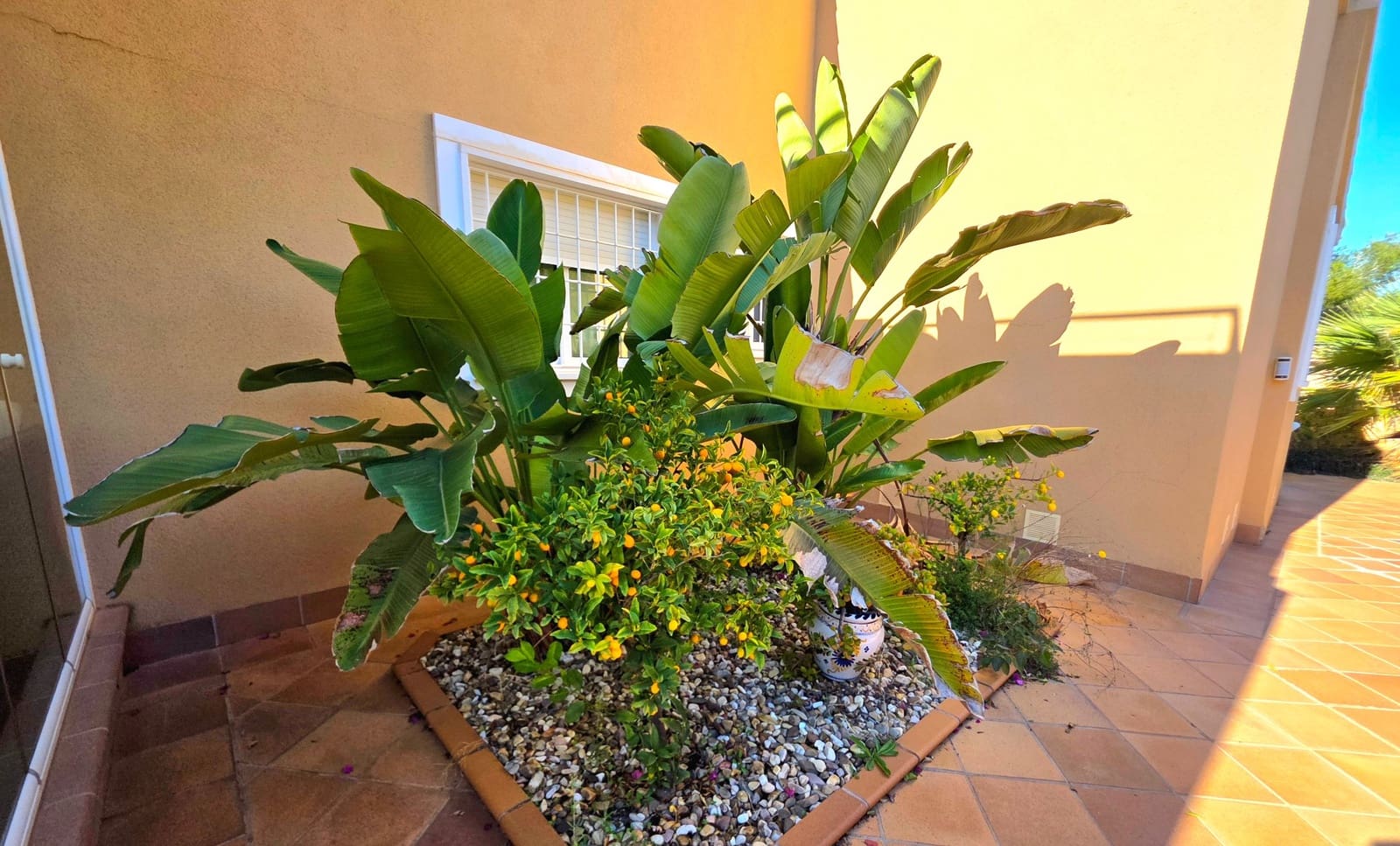 5 chambre Villa/Maison à vendre à Orihuela Costa avec piscine garage - 739 900 € (Ref: 10025718)