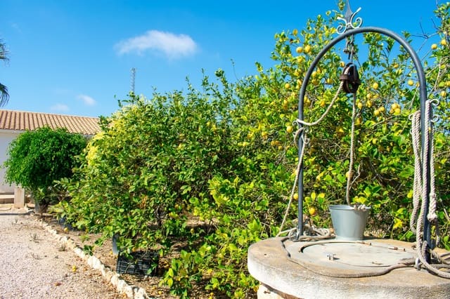 3 camera da letto Villa in vendita in El Raso, Guardamar del Segura con piscina - 590.000 € (Rif: 10025731)
