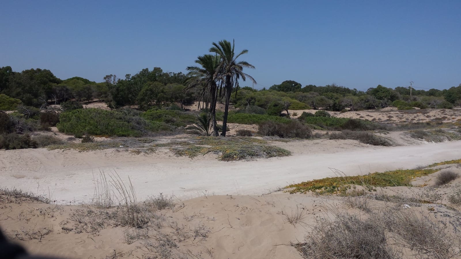 3 bedroom Penthouse for holiday rental in La Marina with pool garage - € 630 (Ref: 6968371)