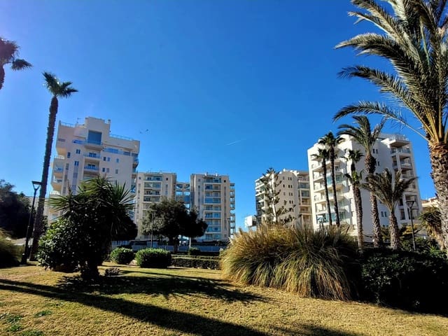 2 quarto Apartamento para arrendamento para férias em Los Europeos, Torrevieja com piscina Garagem - 399 € (Ref: 6968372)