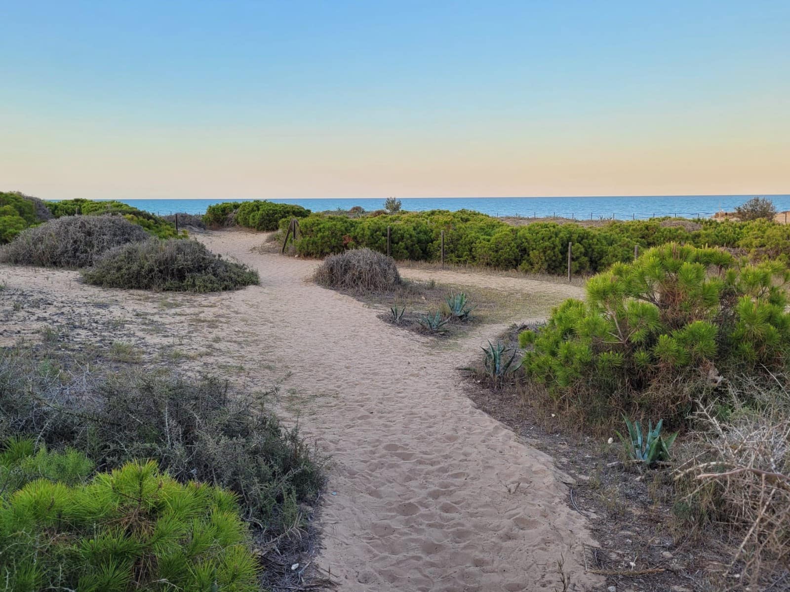 2 slaapkamer Appartement voor vakantieverhuur in La Mata met zwembad - € 630 (Ref: 6968386)