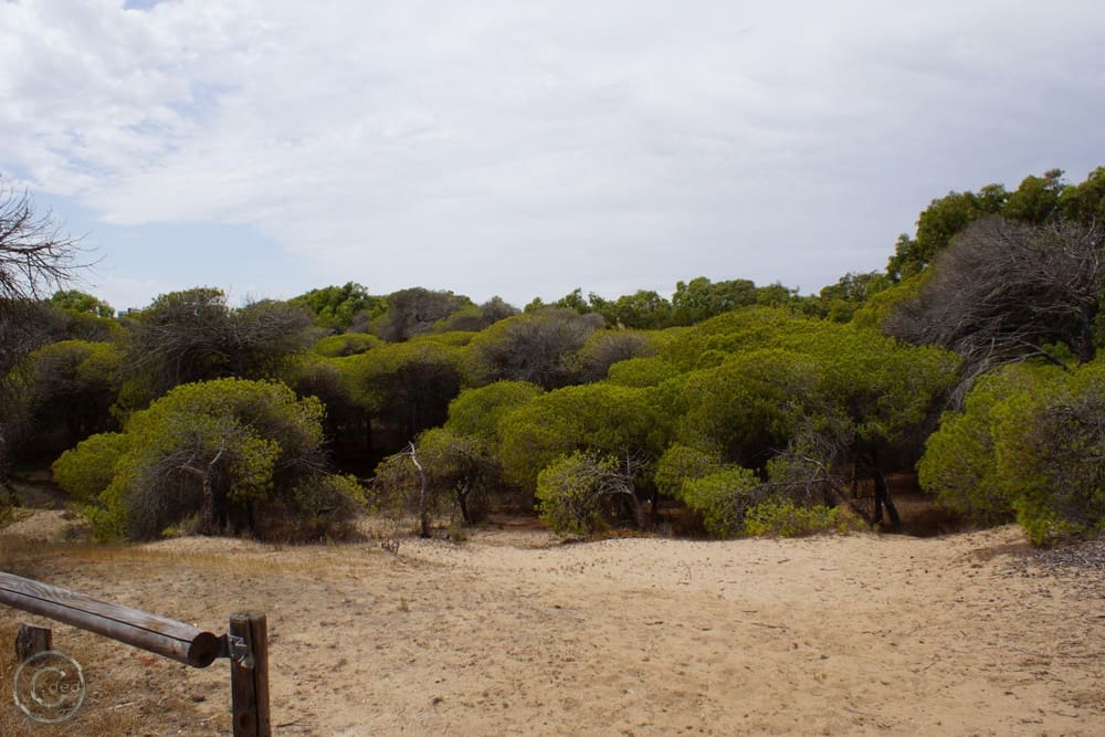 2 quarto Apartamento para arrendamento para férias em Guardamar del Segura com piscina Garagem - 385 € (Ref: 6968394)