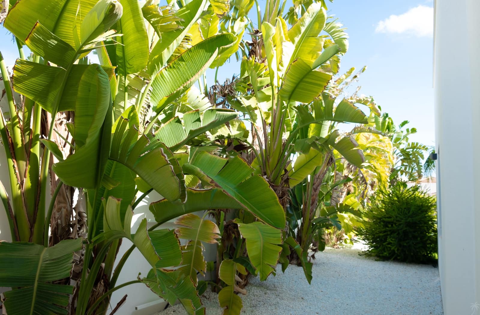 3 slaapkamer Villa voor vakantieverhuur in La Marina met zwembad garage - € 700 (Ref: 6968401)