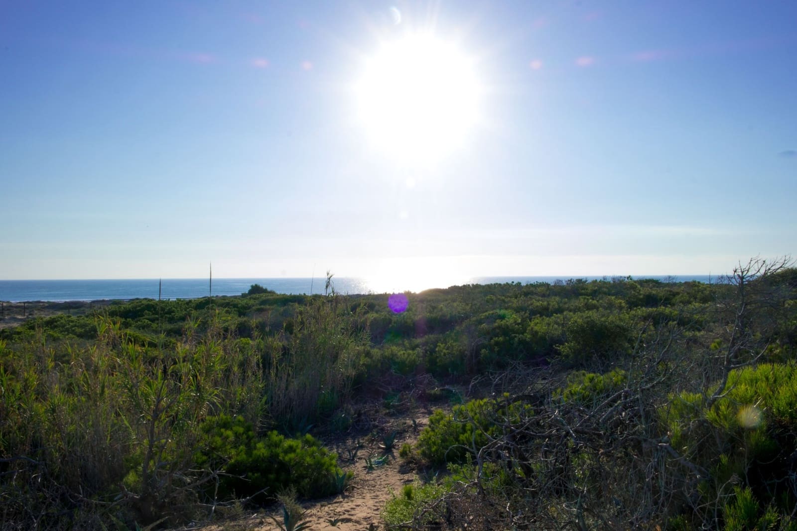 2 soverom Leilighet til salgs i La Mata med svømmebasseng garasje - € 560 (Ref: 6968417)