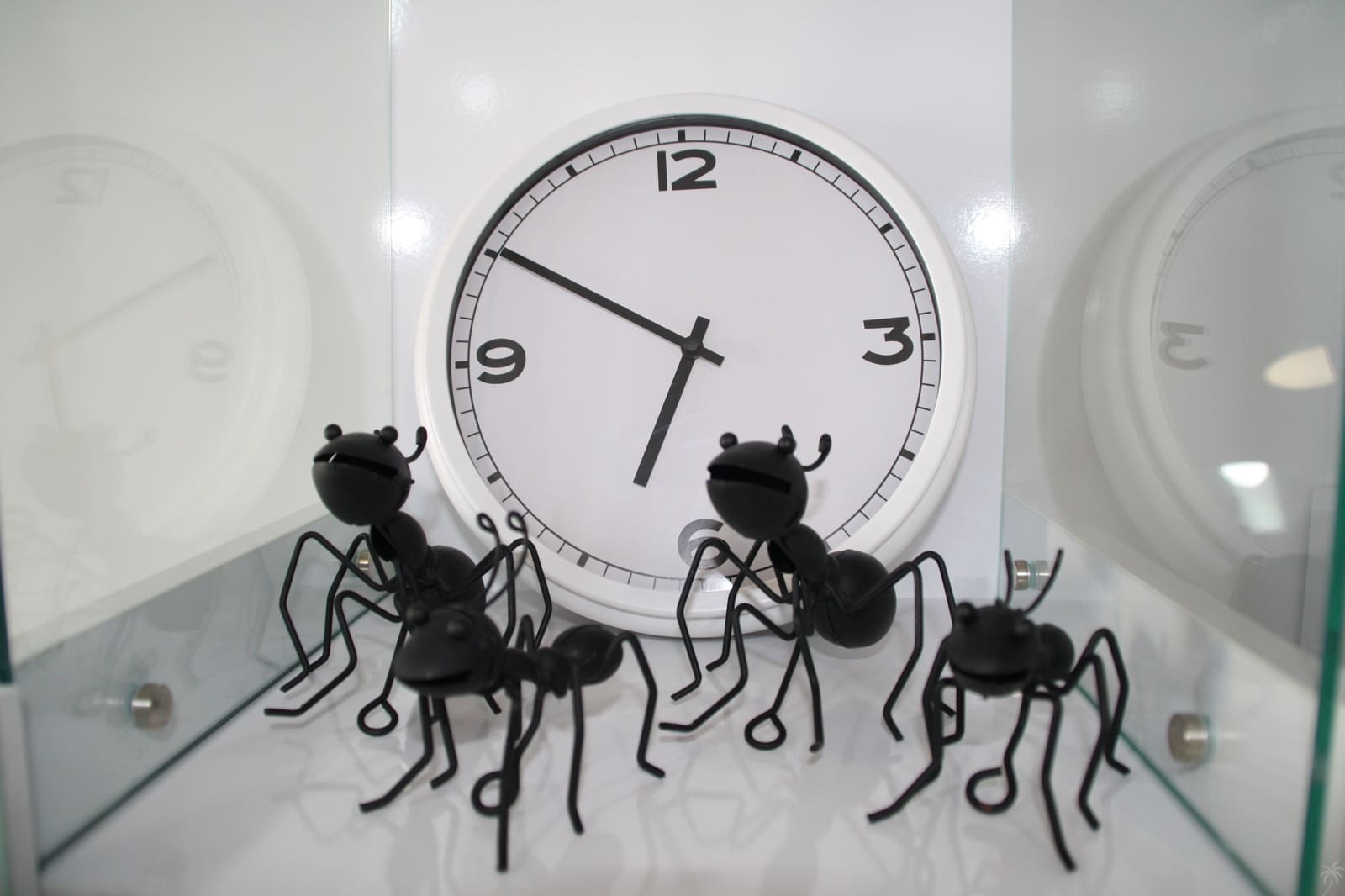 2 slaapkamer Appartement voor vakantieverhuur in La Mata met zwembad - € 399 (Ref: 7074735)