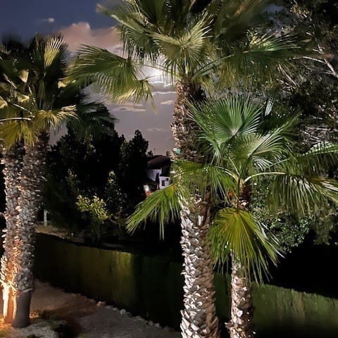   2 soveværelse   ferieLejlighed i Villamartin   med   swimmingpool   - € 385 (Ref: 7149967)