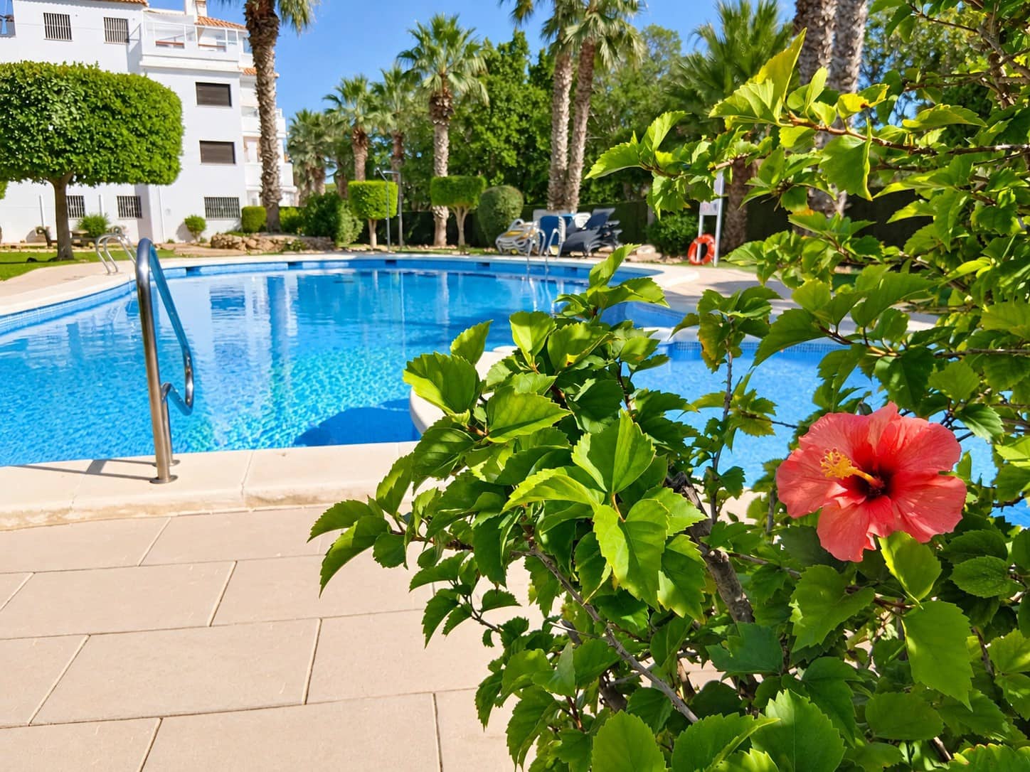 2 slaapkamer Appartement voor vakantieverhuur in Villamartin met zwembad - € 385 (Ref: 7149967)