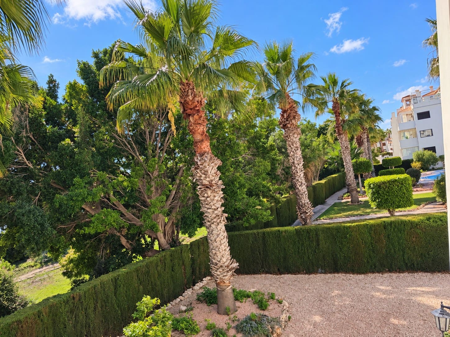 2 slaapkamer Appartement voor vakantieverhuur in Villamartin met zwembad - € 385 (Ref: 7149967)
