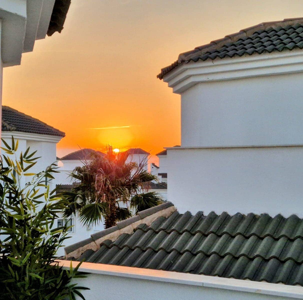 3 quarto Moradia para arrendamento para férias em La Marina com piscina Garagem - 700 € (Ref: 729501)