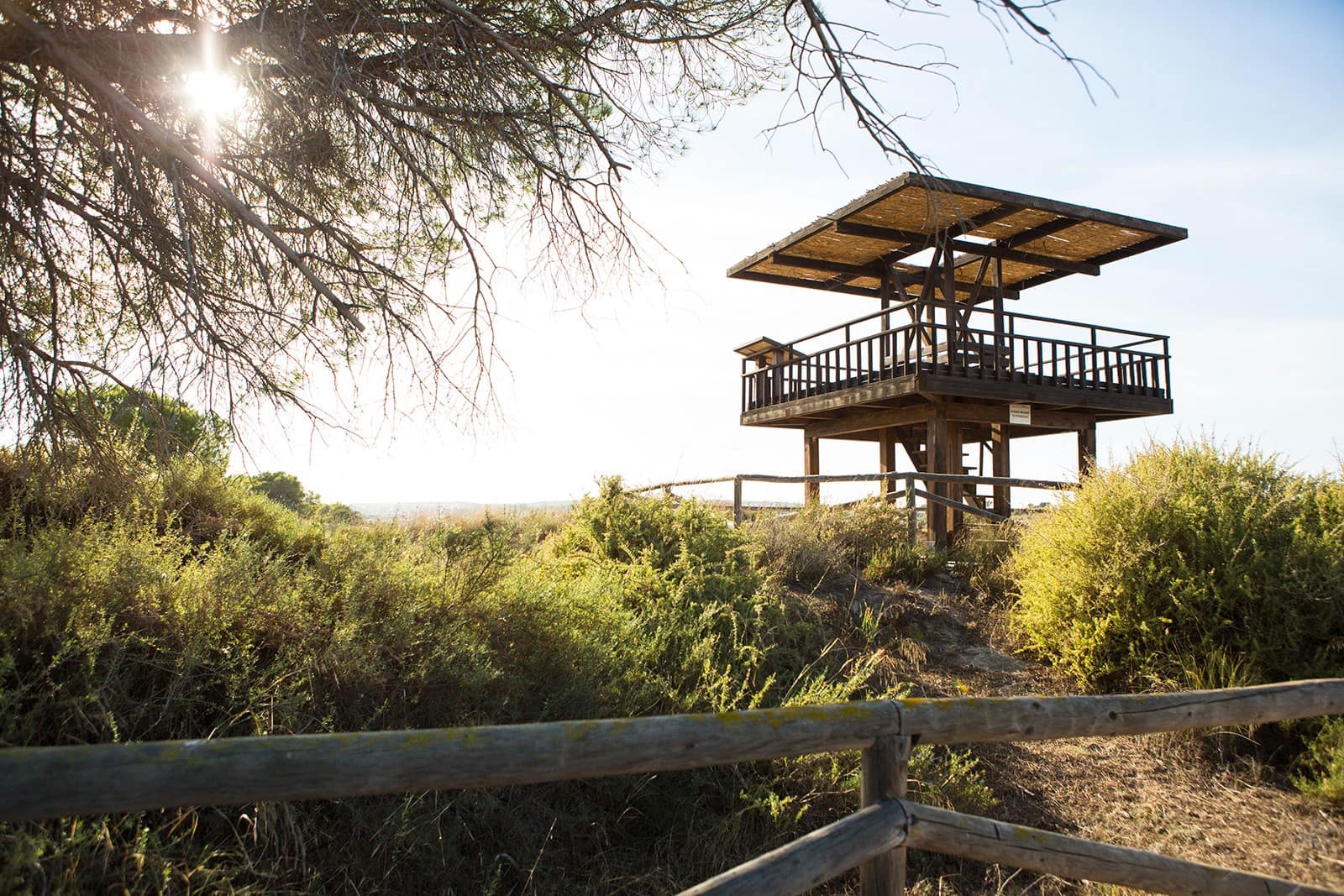 2 quarto Apartamento para arrendamento para férias em La Marina com piscina Garagem - 385 € (Ref: 7381662)