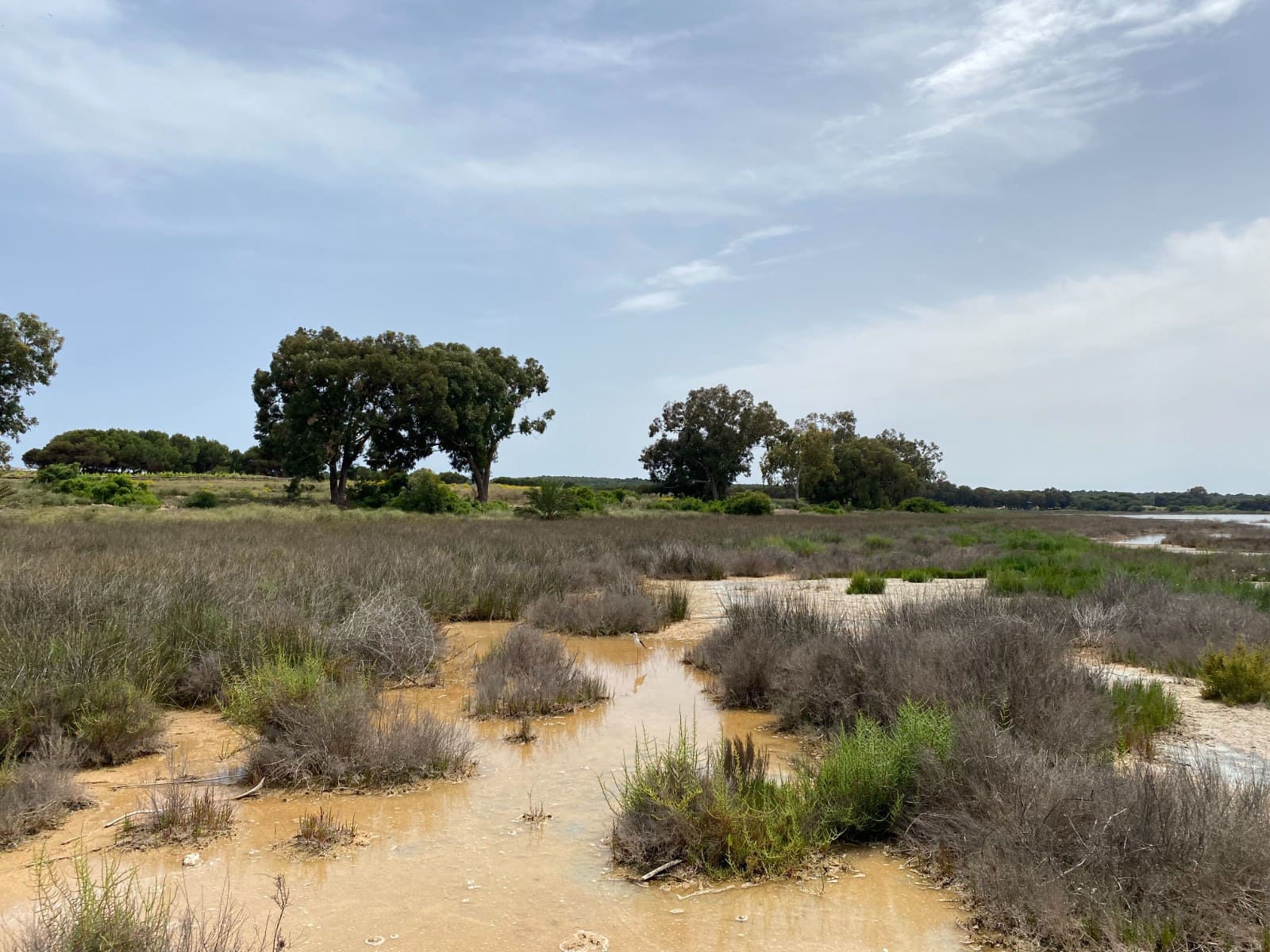 2 slaapkamer Appartement voor vakantieverhuur in Torrevieja met zwembad garage - € 399 (Ref: 7427180)