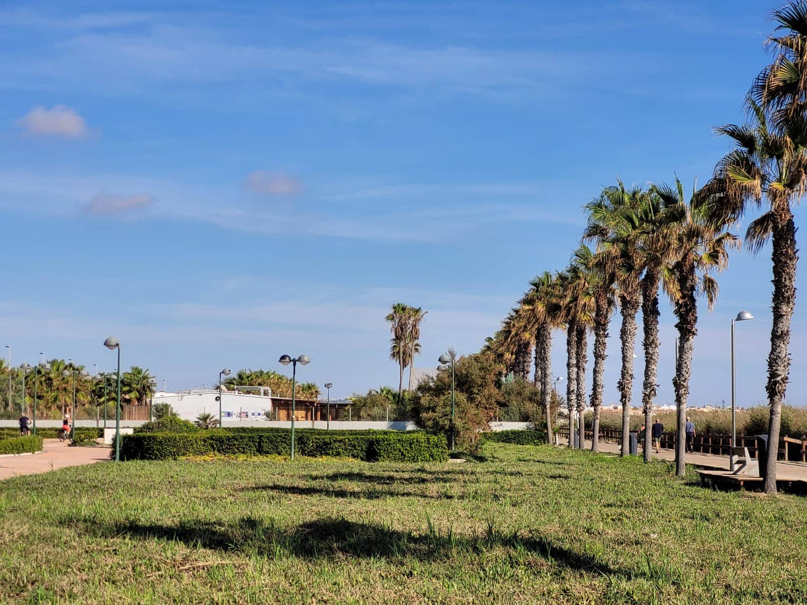 1 camera da letto Appartamento da affitare come casa vacanza in Pilar de la Horadada con piscina garage - 525 € (Rif: 8057492)