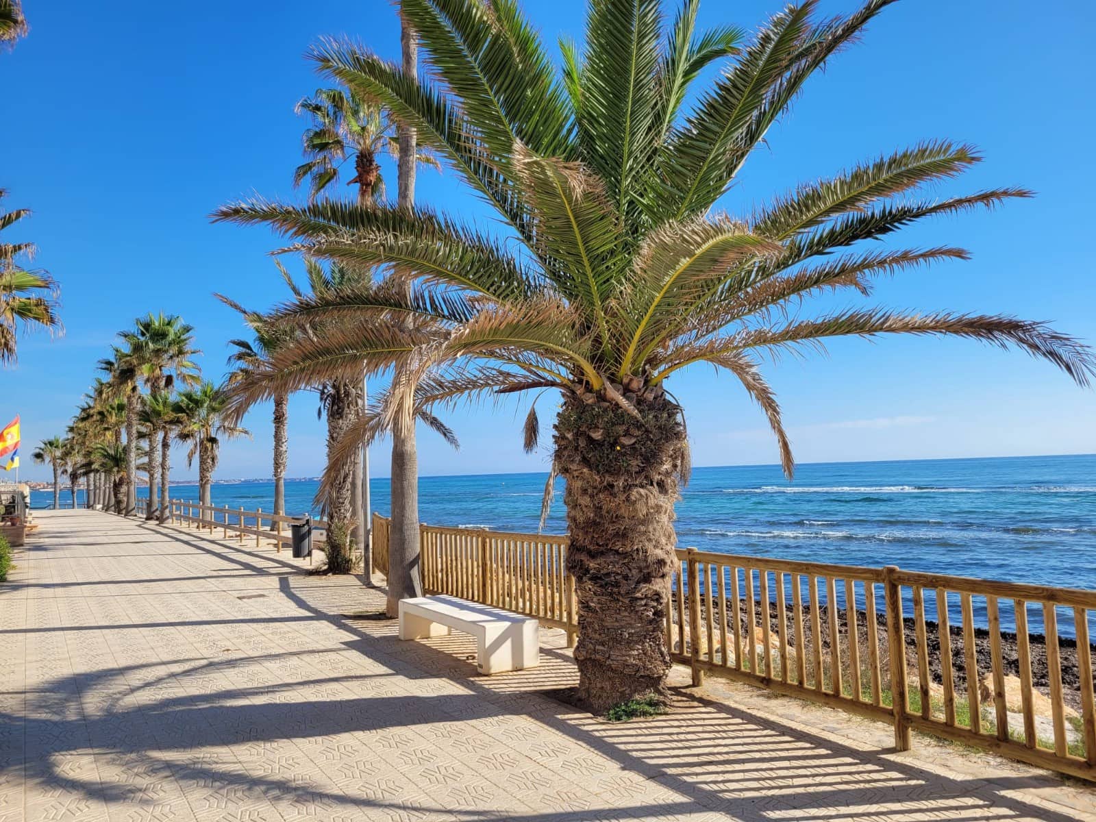 1 camera da letto Appartamento da affitare come casa vacanza in Pilar de la Horadada con piscina garage - 525 € (Rif: 8057492)