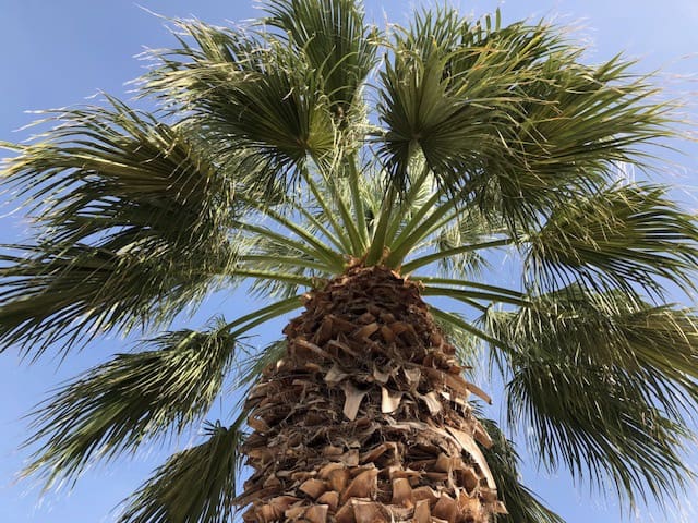 3 bedroom Townhouse for holiday rental in Cabo Roig, Orihuela with pool garage - € 525 (Ref: 8558859)