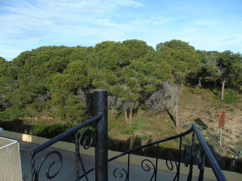 2 quarto Apartamento para arrendamento para férias em La Mata com piscina - 315 € (Ref: 8728771)